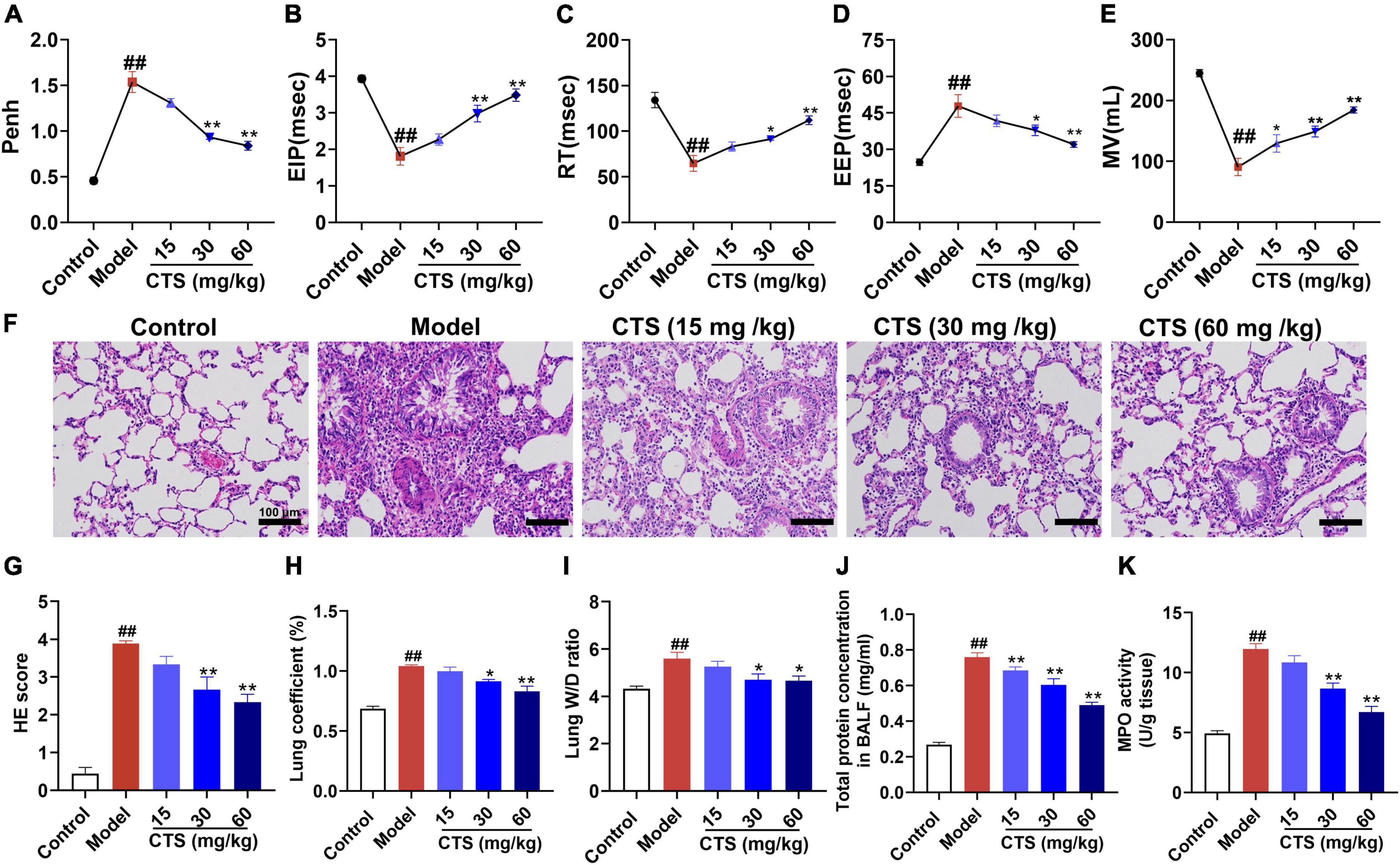 Cryptotanshinone attenuates LPS-induced acute lung injury by regulating metabolic reprogramming of macrophage
